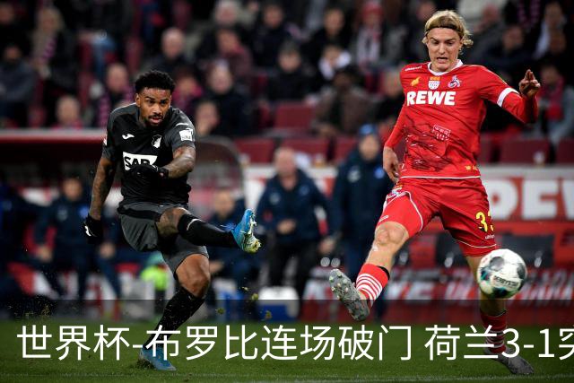 世界杯-布罗比连场破门 荷兰3-1突尼斯获小组头名将战摩洛哥