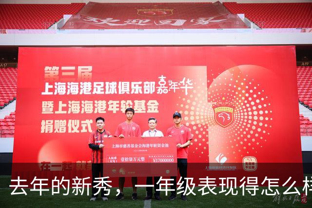 去年的新秀，一年级表现得怎么样呢【上】