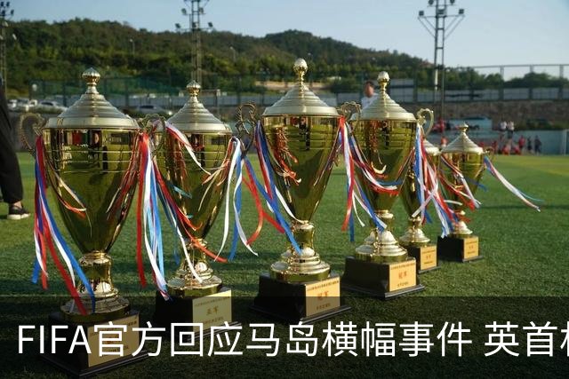 FIFA官方回应马岛横幅事件 英首相发言人&马岛政府发声
